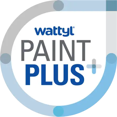 paint perks