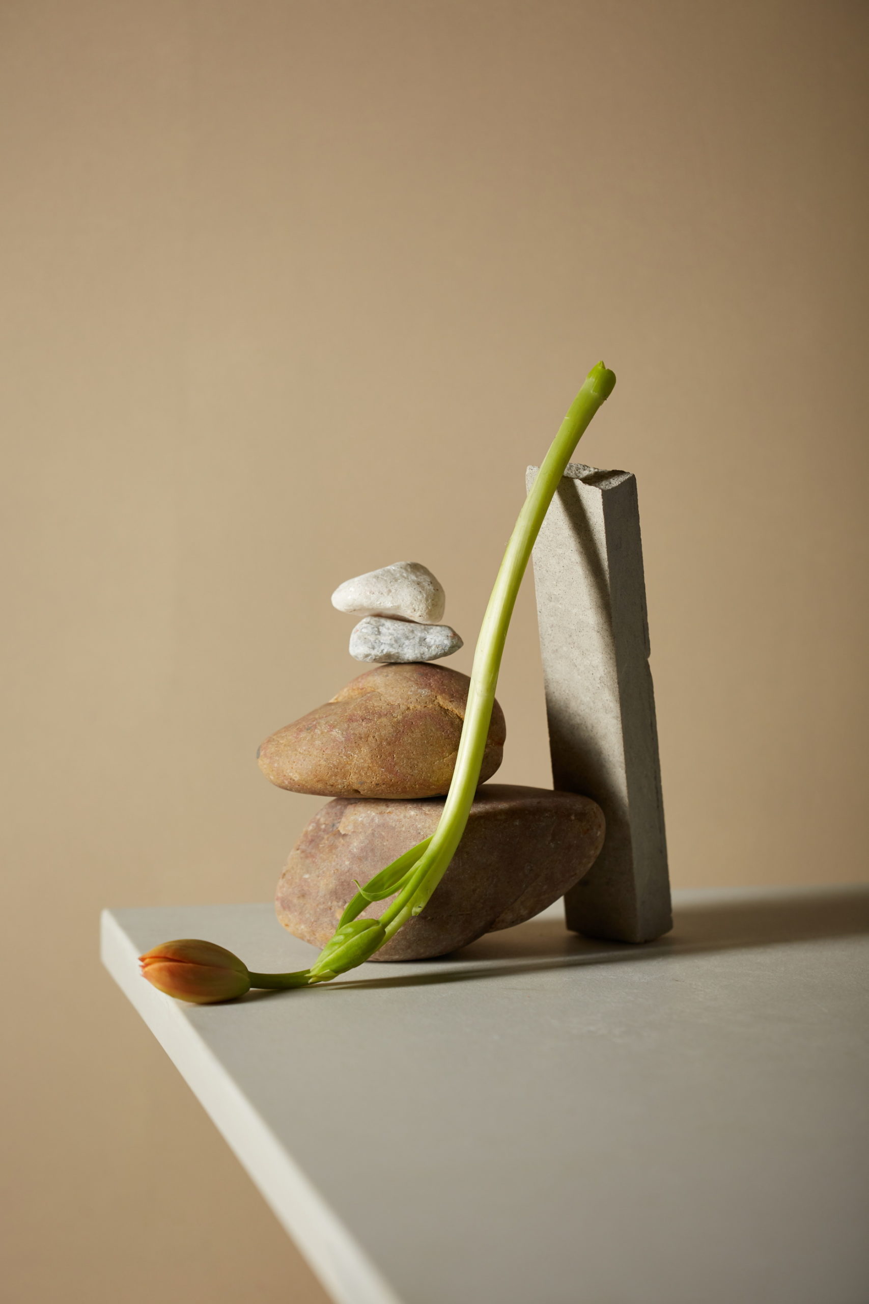 CaesarStone SoftAndRelaxing scaled