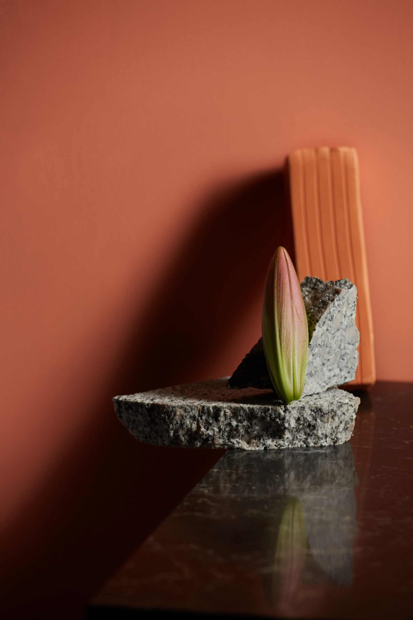 CaesarStone SpicyAndWarm scaled