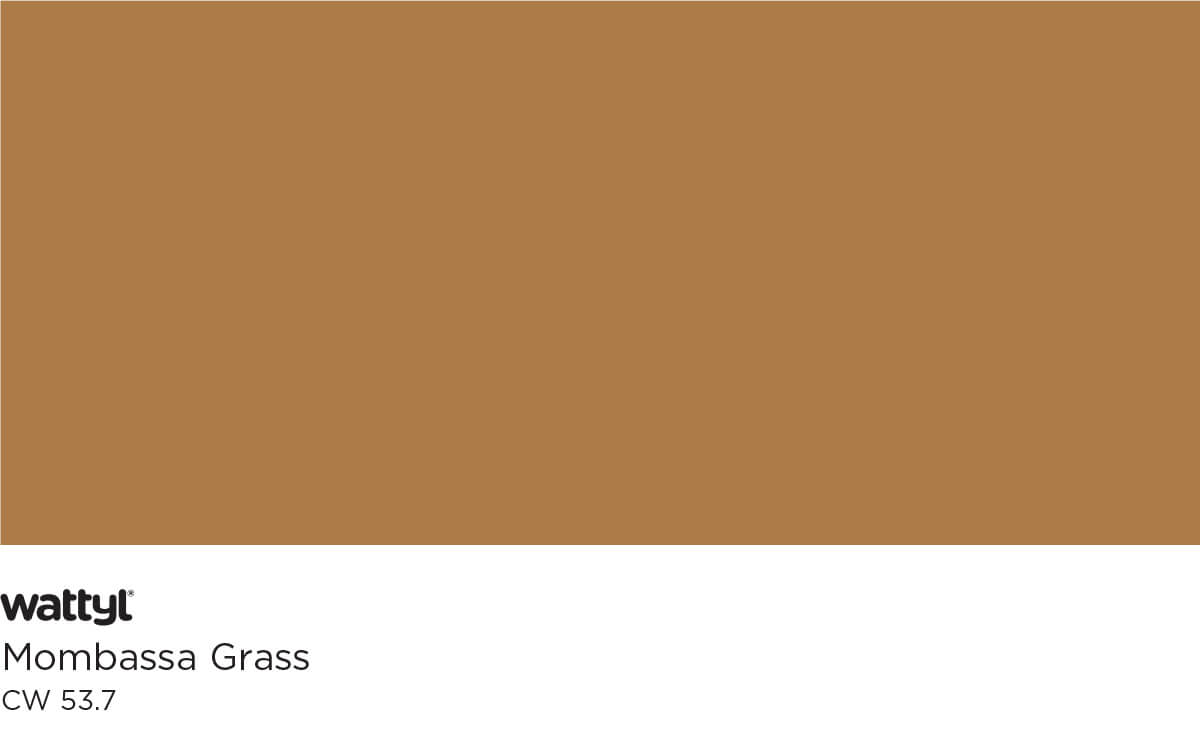 CaeserStone2-RichAndEarthy_MombassaGrass