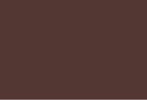 deck and timber Walnut Brown