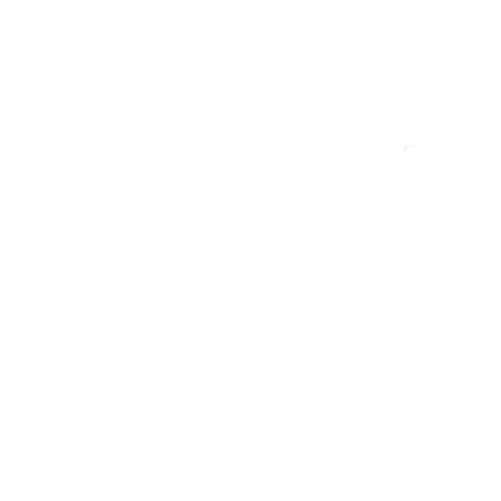 icon care maintenance