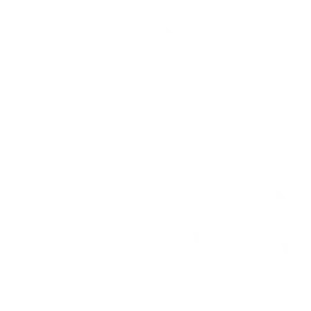 icon preparation