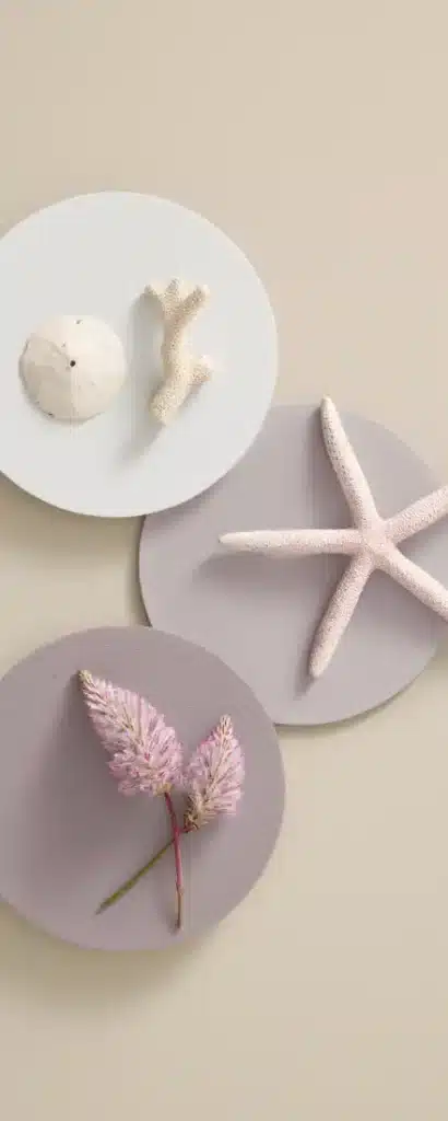 cook Autumn/Winter ’24 Colour Collection