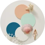 Spring Summer Colour Collection