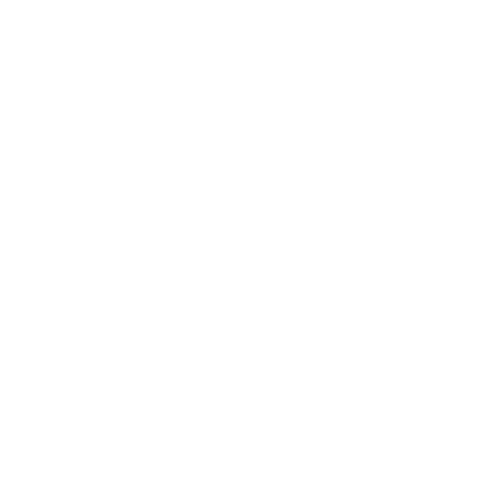 icon sample