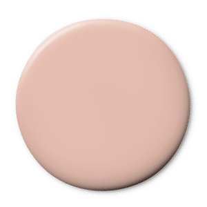 Powder Rose