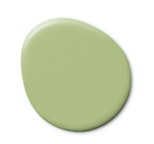 Ripe Olives