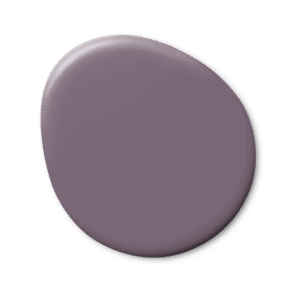 Wild Indigo