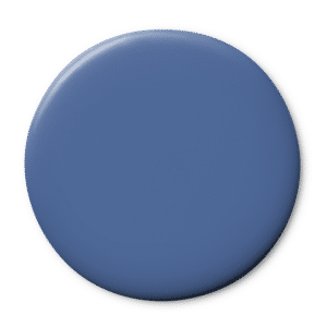 Blue Iris