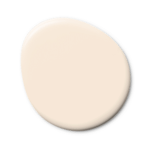 Apricot Delight