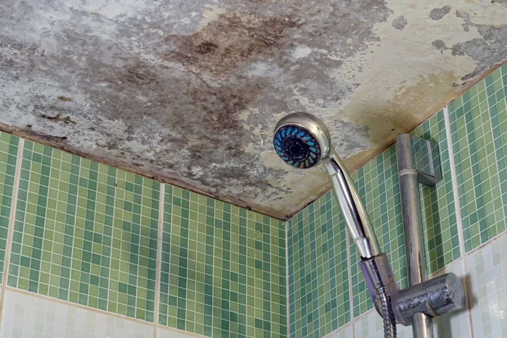a mouldy bathroom ceiling