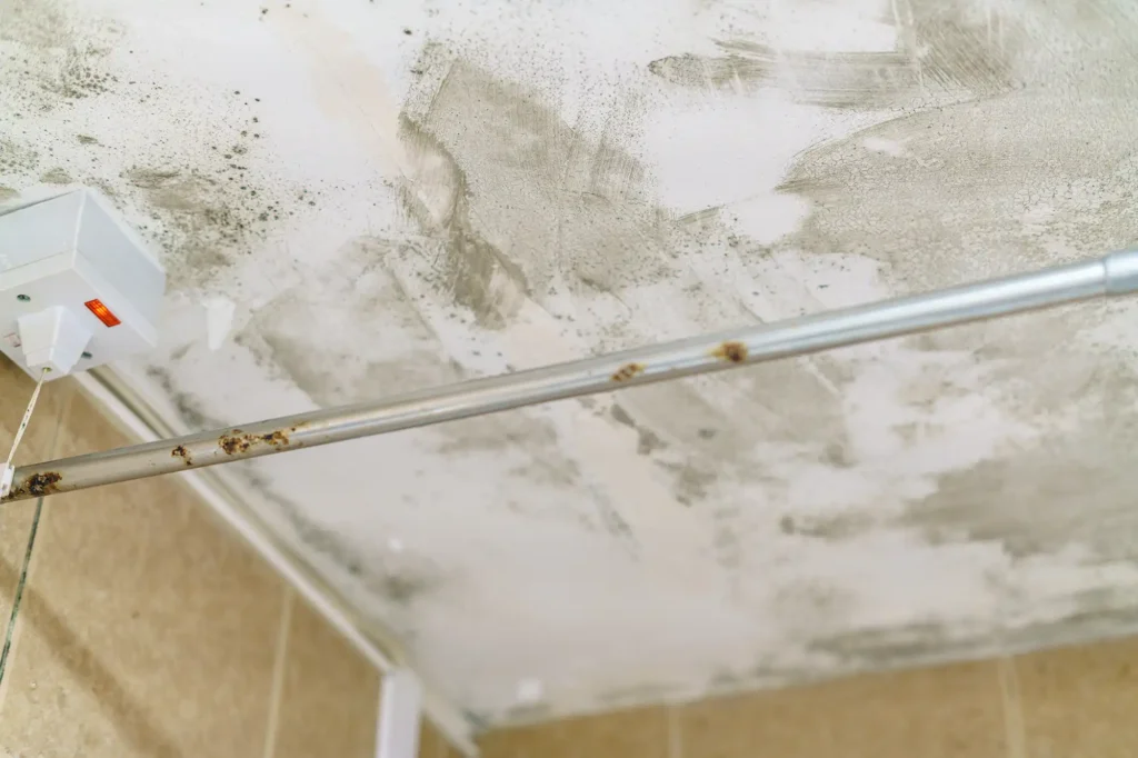 a mouldy bathroom ceiling
